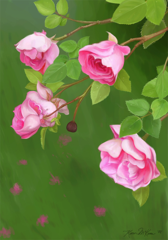 pinkroses